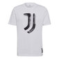 Meeste T-särk Adidas Juventus Tee M GR2907, valge цена и информация | Meeste T-särgid | kaup24.ee