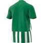 Meeste T-särk Adidas Striped 21 JSY M H35644, roheline hind ja info | Meeste T-särgid | kaup24.ee