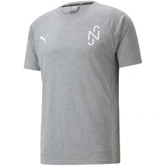 Meeste T-särk Puma Neymar Evostripe Tee Medium M 605604 05, hall цена и информация | Мужские футболки | kaup24.ee