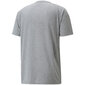 Meeste T-särk Puma Neymar Evostripe Tee Medium M 605604 05, hall hind ja info | Meeste T-särgid | kaup24.ee