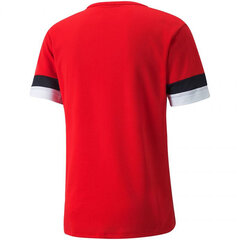 Мужская спортивная футболка Puma teamRise Jersey M 704932 01, красная цена и информация | Мужские футболки | kaup24.ee