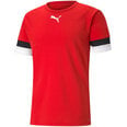 Meeste sportlik T-särk Puma teamRise Jersey M 704932 01, punane