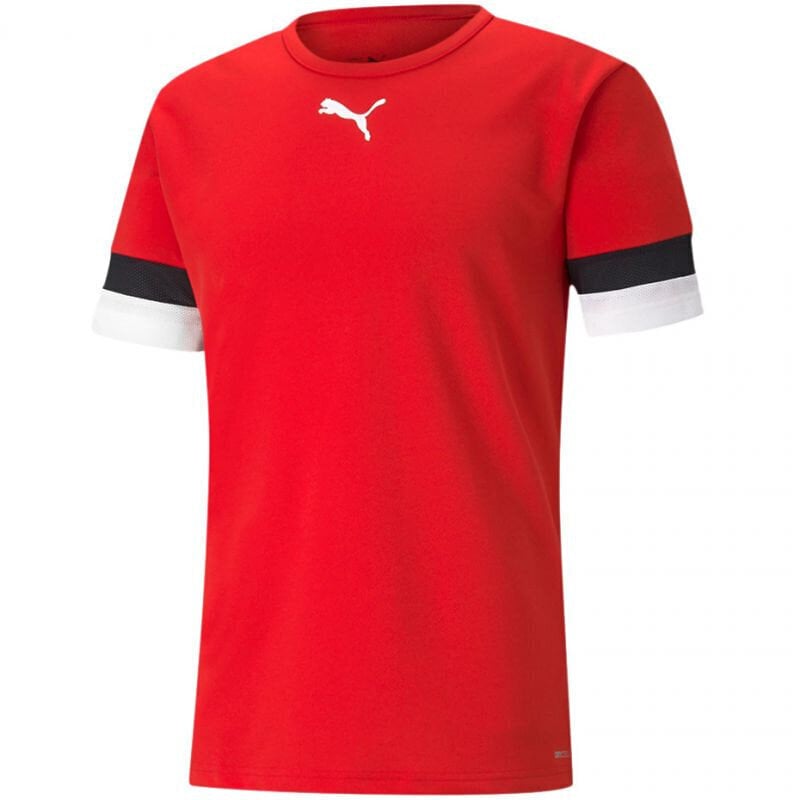 Meeste sportlik T-särk Puma teamRise Jersey M 704932 01, punane цена и информация | Meeste T-särgid | kaup24.ee