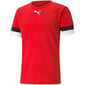 Meeste sportlik T-särk Puma teamRise Jersey M 704932 01, punane цена и информация | Meeste T-särgid | kaup24.ee