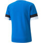 Meeste sportlik T-särk Puma teamRise Jersey M 704932 02, sinine цена и информация | Meeste T-särgid | kaup24.ee
