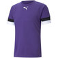 Meeste sportlik T-särk Puma teamRise Jersey M 704932 10, lilla hind ja info | Meeste T-särgid | kaup24.ee