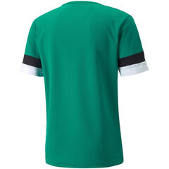 Футболка мужская Puma teamRise Jersey M 704932 05, зеленая цена и информация | Мужские футболки | kaup24.ee