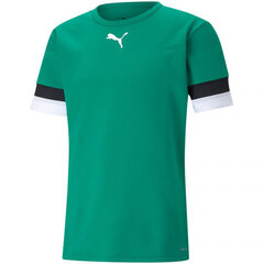Meeste T-särk Puma teamRise Jersey M 704932 05, roheline цена и информация | Мужские футболки | kaup24.ee