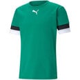 Meeste T-särk Puma teamRise Jersey M 704932 05, roheline