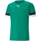 Meeste T-särk Puma teamRise Jersey M 704932 05, roheline hind ja info | Meeste T-särgid | kaup24.ee