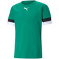 Meeste T-särk Puma teamRise Jersey M 704932 05, roheline цена и информация | Meeste T-särgid | kaup24.ee