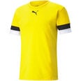 Meeste sportlik T-särk Puma teamRise Jersey M 704932 07, kollane