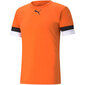 Meeste sportlik T-särk Puma teamRise Jersey M 704932 08, oranž hind ja info | Meeste T-särgid | kaup24.ee