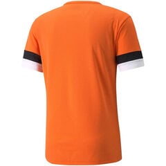 Мужская спортивная футболка Puma teamRise Jersey M 704932 08, оранжевая цена и информация | Мужские футболки | kaup24.ee