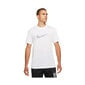 Meeste T-särk Nike Pro Dri Fit M DD6883100, valge цена и информация | Meeste T-särgid | kaup24.ee