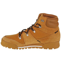 Обувь мужская Adidas Terrex Snowpitch CW M FV5353, коричневая цена и информация | Мужские ботинки | kaup24.ee