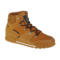 Meeste jalanõud Adidas Terrex Snowpitch CW M FV5353, pruunid hind ja info | Meeste kingad, saapad | kaup24.ee