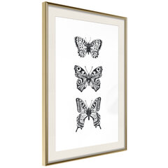 Poster - Butterfly Collection III hind ja info | Seinapildid | kaup24.ee