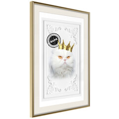 Poster - Cat Rules II hind ja info | Seinapildid | kaup24.ee