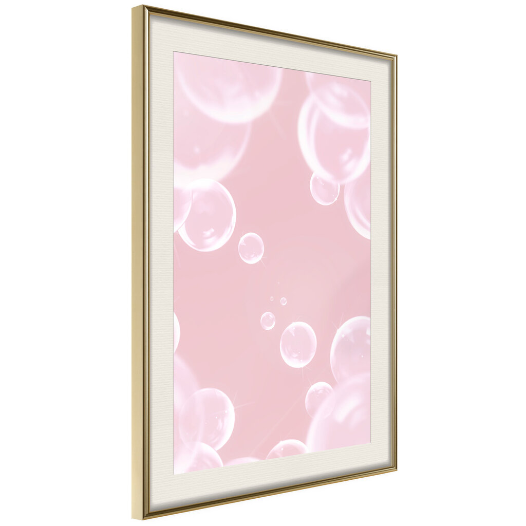 Poster - Bubble Pleasure hind ja info | Seinapildid | kaup24.ee