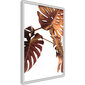 Poster Copper Monstera hind ja info | Seinapildid | kaup24.ee