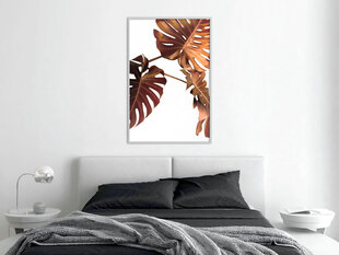 Poster Copper Monstera hind ja info | Seinapildid | kaup24.ee