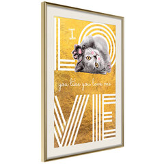 Poster - Cat Love hind ja info | Seinapildid | kaup24.ee