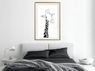 Poster - Black and White Giraffe hind ja info | Seinapildid | kaup24.ee