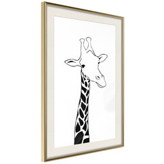 Poster - Black and White Giraffe hind ja info | Seinapildid | kaup24.ee