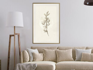 Poster - Beige Campanula hind ja info | Seinapildid | kaup24.ee