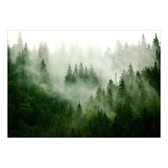 Фотообои - Mountain Forest (Green) цена и информация | Фотообои | kaup24.ee