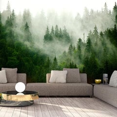 Фотообои - Mountain Forest (Green) цена и информация | Фотообои | kaup24.ee