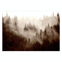 Fototapeet - Mountain Forest (Sepia), 98x70 hind ja info | Fototapeedid | kaup24.ee