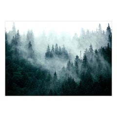 Фотообои - Mountain Forest (Dark Green) цена и информация | Фотообои | kaup24.ee