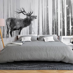 Фотообои - Deer in the Snow (Black and White) цена и информация | Фотообои | kaup24.ee