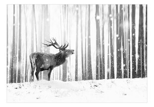 Фотообои - Deer in the Snow (Black and White) цена и информация | Фотообои | kaup24.ee