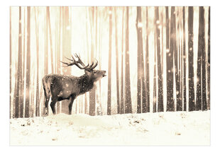 Фотообои - Deer in the Snow (Sepia), 98x70 цена и информация | Фотообои | kaup24.ee