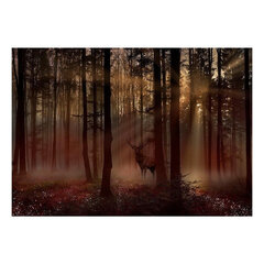 Фотообои - Mystical Forest - First Variant цена и информация | Фотообои | kaup24.ee