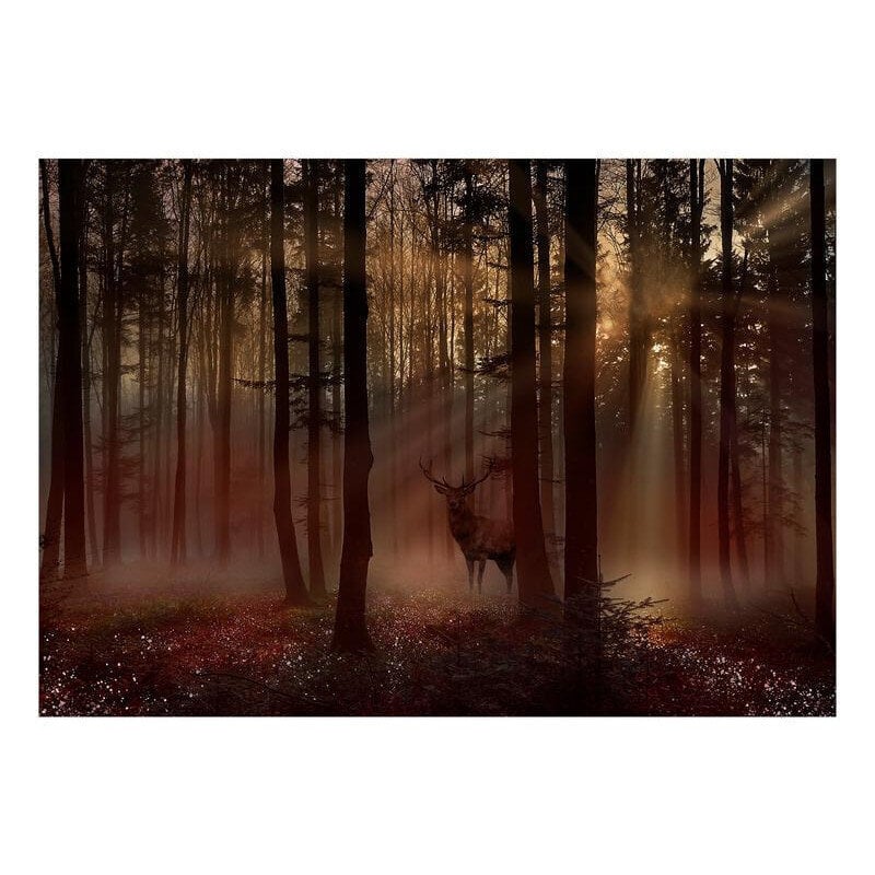 Fototapeet – Müstiline mets – Esimene variant, 98x70 hind ja info | Fototapeedid | kaup24.ee