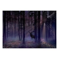 Фотообои - Mystical Forest - Second Variant цена и информация | Фотообои | kaup24.ee