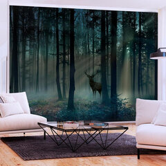 Фотообои - Mystical Forest - Third Variant цена и информация | Фотообои | kaup24.ee