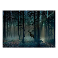 Фотообои - Mystical Forest - Third Variant цена и информация | Фотообои | kaup24.ee