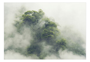 Fototapetas - Foggy Amazon, 150x105 hind ja info | Fototapeedid | kaup24.ee
