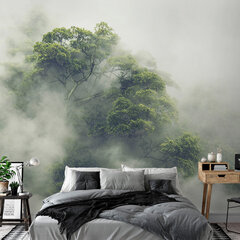 Фотообои - Foggy Amazon, 98x70 цена и информация | Фотообои | kaup24.ee