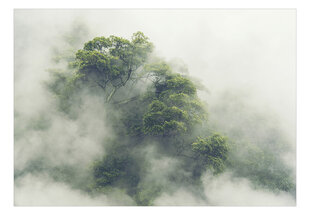 Fototapetas - Foggy Amazon, 98x70 hind ja info | Fototapeedid | kaup24.ee