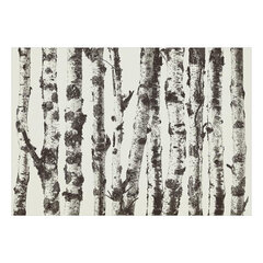 Fototapetas - Stately Birches - First Variant, 150x105 hind ja info | Fototapeedid | kaup24.ee