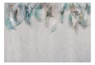 Fototapeet - Colourful Feathers, 98x70 hind ja info | Fototapeedid | kaup24.ee