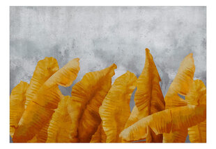 Fototapetas - Banana Leaves, 150x105 hind ja info | Fototapeedid | kaup24.ee