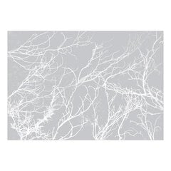 Fototapetas - White Trees, 250x175 hind ja info | Fototapeedid | kaup24.ee