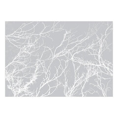 Fototapetas - White Trees, 300x210 hind ja info | Fototapeedid | kaup24.ee